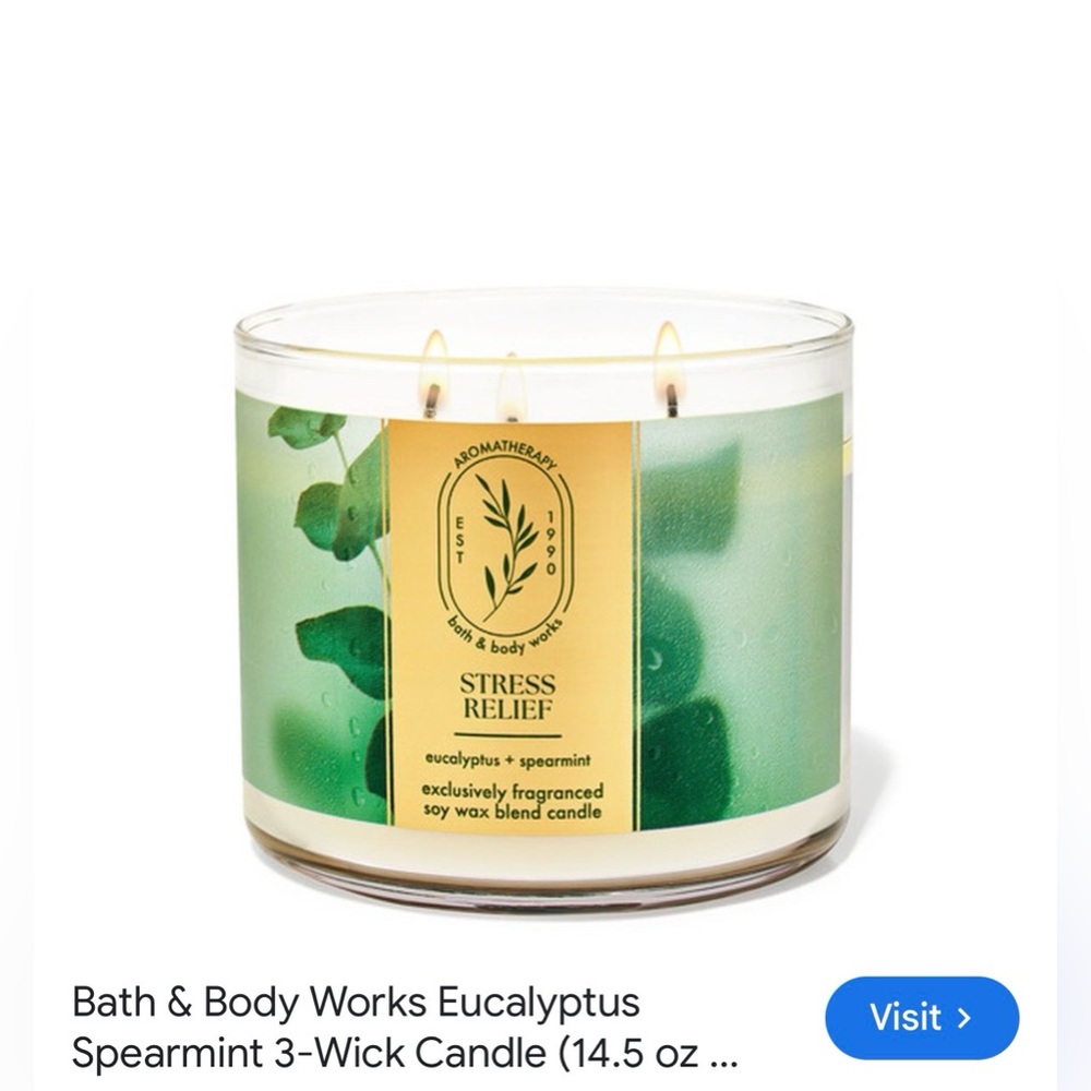 NWT Bath & Body Works Eucalyptus Spearmint Aromatherapy Candle